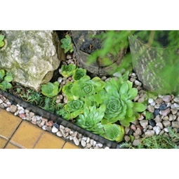 Ágyásszegély 13 cm x 5 m