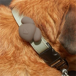 Airtag tartó nyakörvre