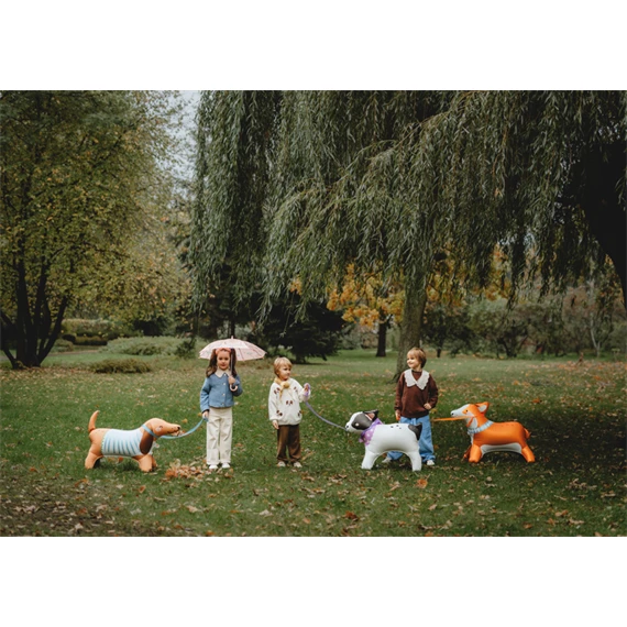 Álló fólia lufi tacskó 89x58 cm mix