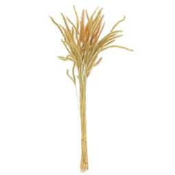 Szárazvirág árpa csokor 60 cm