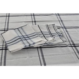 Asztalterítő szett kockás 250x150x0,5 cm S/9