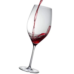 Boros pohár bordeaux GRACE 920 ml 10,5x28 cm S/2