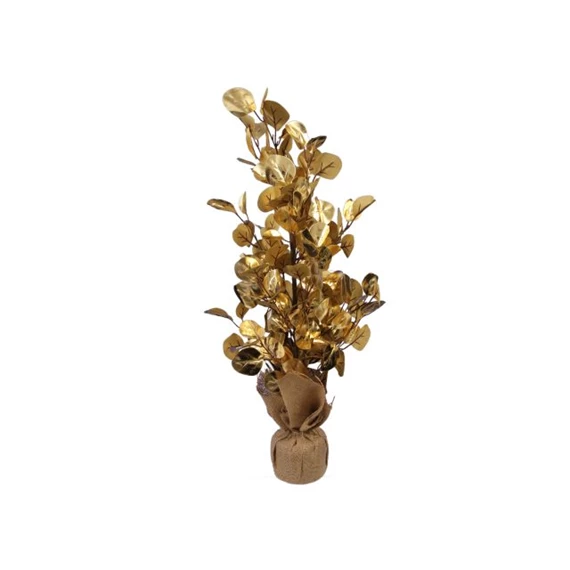 Eukaliptusz zsákban, szárított 70 cm