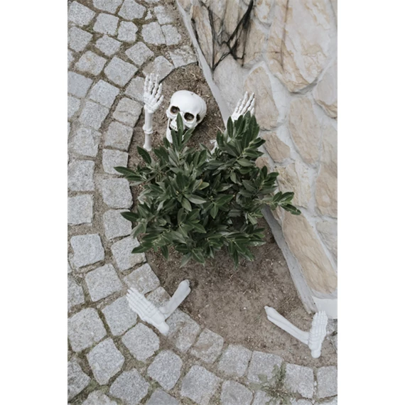 Csontváz dekoráció