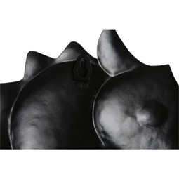 Dekoráció falra, csikóhal 22x1,5x46 cm 2 féle