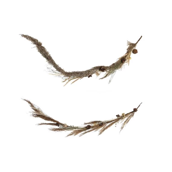 Dekoráció szárazvirág 10x5x110 cm 2 féle