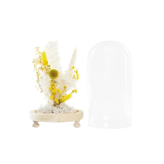 Dekoráció szárazvirág 12x12x21 cm 2 féle