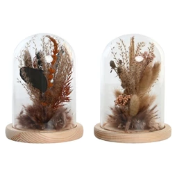 Dekoráció szárazvirág 12x12x17 cm 2 féle