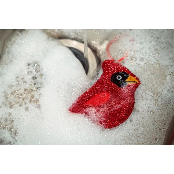 Edénysúroló, madaras S/2