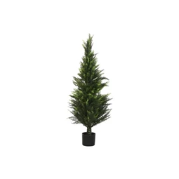 Fenyő cserépben 60x60x120 cm