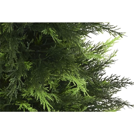 Fenyő cserépben 60x60x120 cm