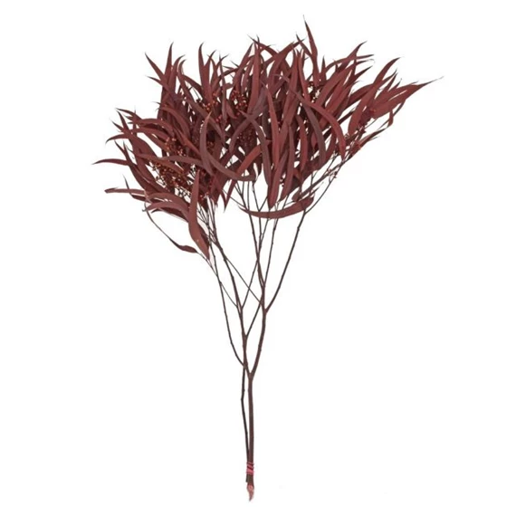 Fűzfaág levéllel szárított 70 cm