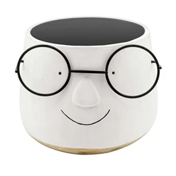 Kaspó szemüveggel 16x20x20 cm