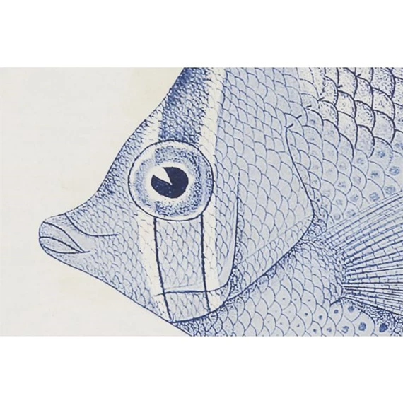 Kép hal 50x2,5x40 cm 6 féle