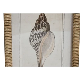 Kép kagyló keretes 30x2,5x40 cm 9 féle