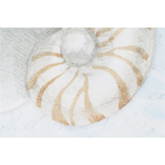 Kép kagylók 40x2x40 cm 4 féle