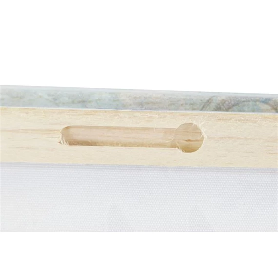 Kép kagylók 40x2x40 cm 4 féle