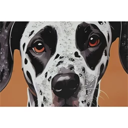 Kép keretes, dalmata 52,5x2,8x72,5 cm 3 féle