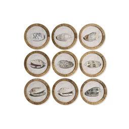 Kép keretes, kagyló 30x2x30 cm 9 féle