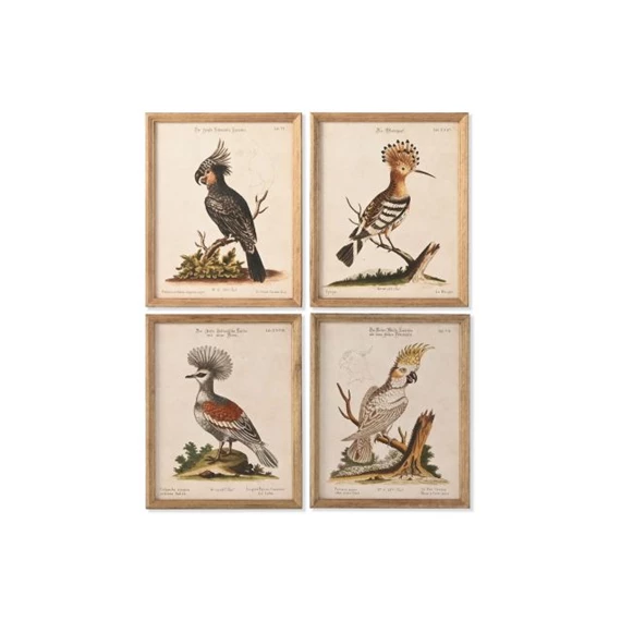 Kép keretes, madár 40x2x50 cm 4 féle