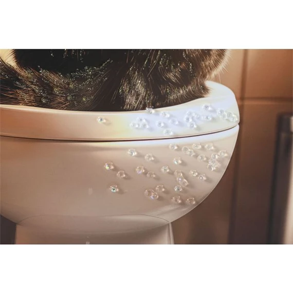 Kép macska 40x1,8x60 cm 4 féle