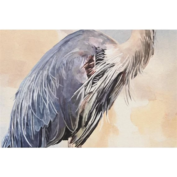 Kép madár, keretes 56x1,6x66 cm 3 féle