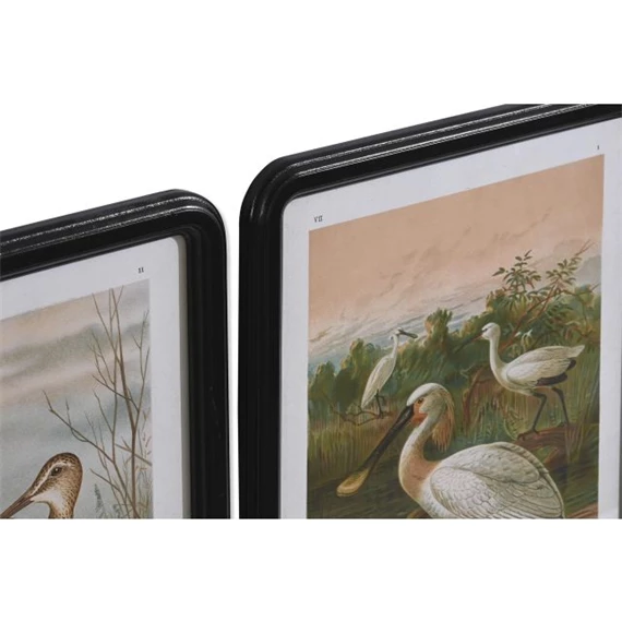 Kép madarak 40x1,8x50 cm 6 féle