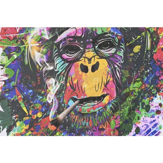 Kép majom 50x1,8x50 cm 4 féle