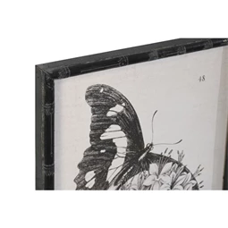 Kép pillangók 40x2,8x60 cm 4 féle