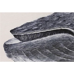 Kép szett bálna 50x2x70 cm S/3