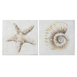 Kép tengeri csillag, kagyló, kézzel festett 60x3x60 cm 2 féle
