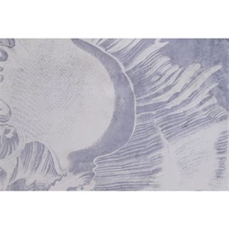 Kép tengeri kagyló 50x2x60 cm 4 féle