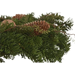 Koszorú fenyő 55x10x55 cm