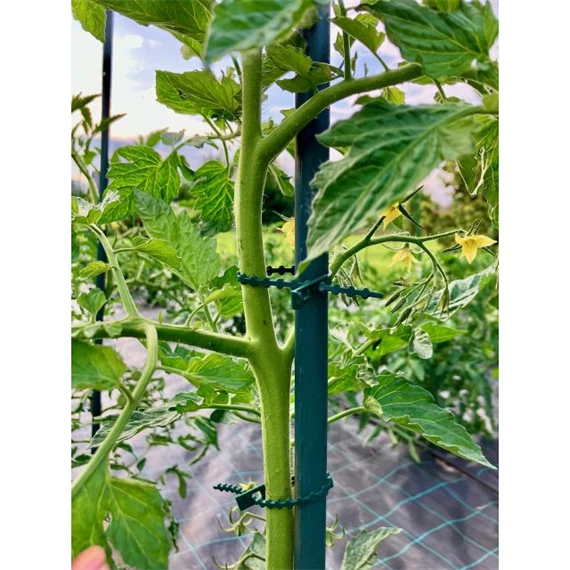 Kötöző fákhoz és cserjékhez 17 cm S/40