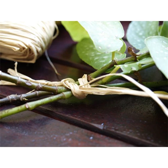 Kötöző raffia 500 g