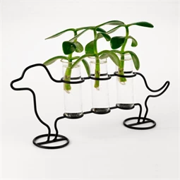 Kutyás váza palántákhoz