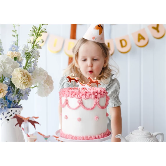 Ló születésnapi gyertyák vegyes 5,8x4 cm S/3