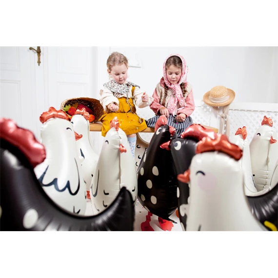 Lufi kakas fólia 48x60 cm mix