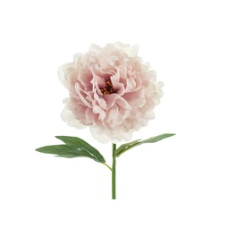 Művirág bazsarózsa 35 cm halvány rózsaszín