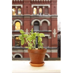 Növényjelölő, újrahasználható S/12