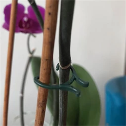 Növénykapocs 16x25 mm x 2 cm S/40