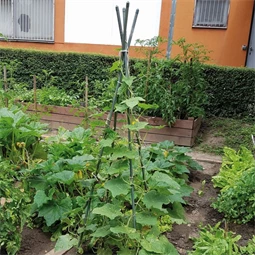 Növénytámasz 8 mm x 60 cm