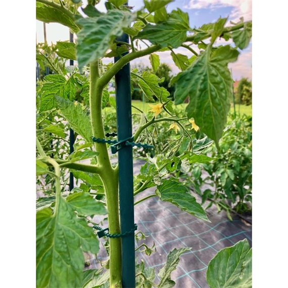 Növénytámasz 8 mm x 60 cm