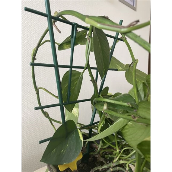 Növénytámasz viráglétra 37 cm