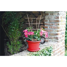 Növénytámasz 50 cm