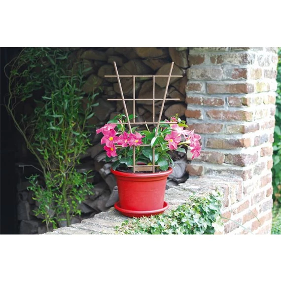 Növénytámasz 50 cm