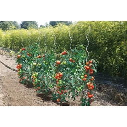 Növénytámasz paradicsomhoz, spirál alakú 0,7 cm x 1,8 m