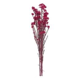 Szárazvirág Ozothamnus csokor 70 cm
