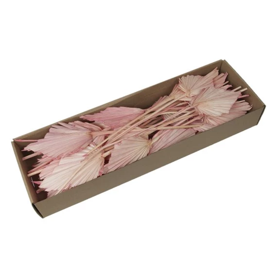 Pálmalevél dobozban, szárított S/25