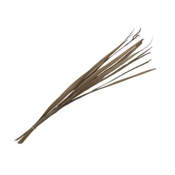 Pálmalevél szárított köteg 80-95 cm S/10